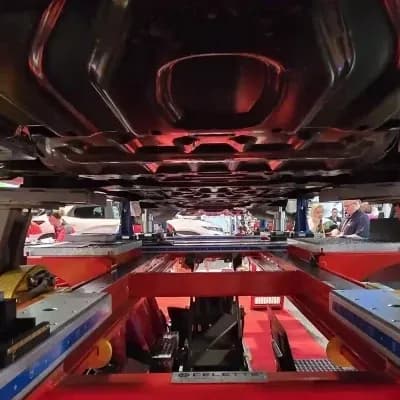 CELETTE brand background